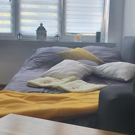 Apartament Park Saski Sandomierz Ngoại thất bức ảnh