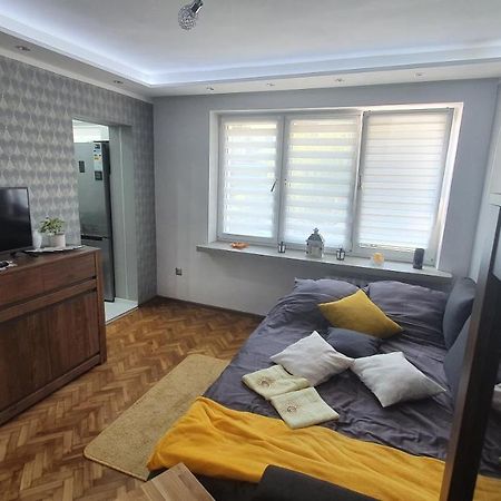 Apartament Park Saski Sandomierz Ngoại thất bức ảnh