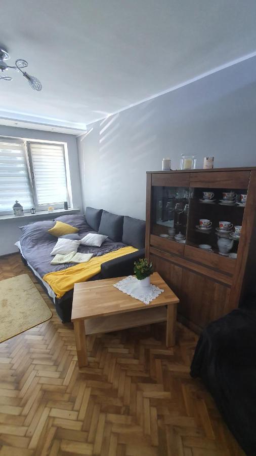 Apartament Park Saski Sandomierz Ngoại thất bức ảnh